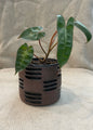 4" Carved Plant Pot