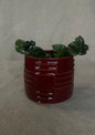 4" Carved Plant Pot