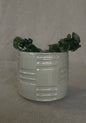 4" Carved Plant Pot